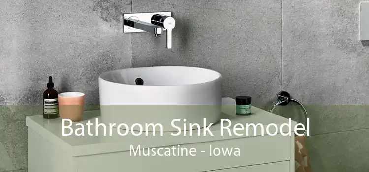 Bathroom Sink Remodel Muscatine - Iowa