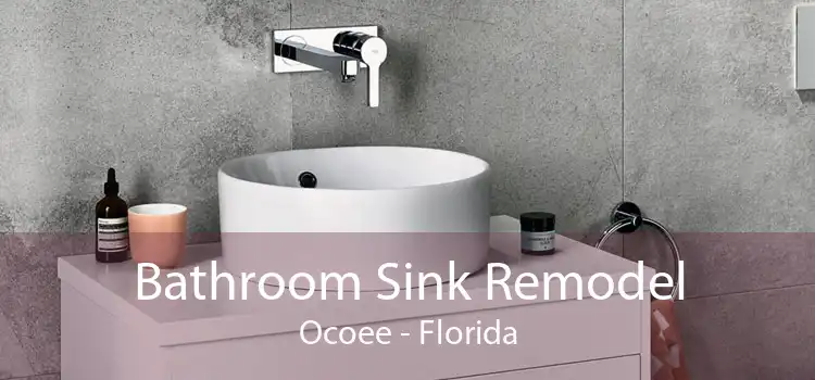 Bathroom Sink Remodel Ocoee - Florida