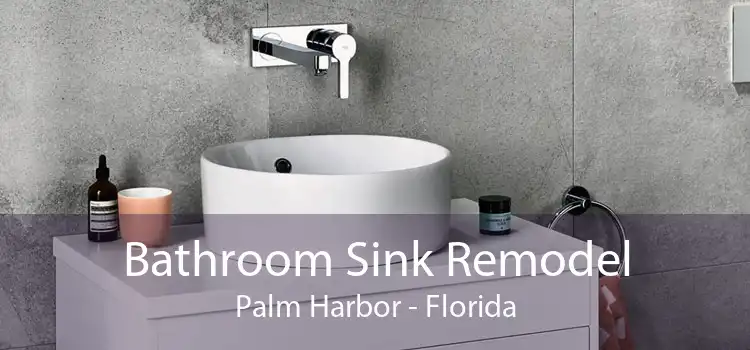 Bathroom Sink Remodel Palm Harbor - Florida