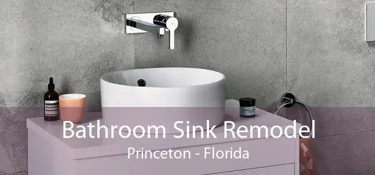 Bathroom Sink Remodel Princeton - Florida