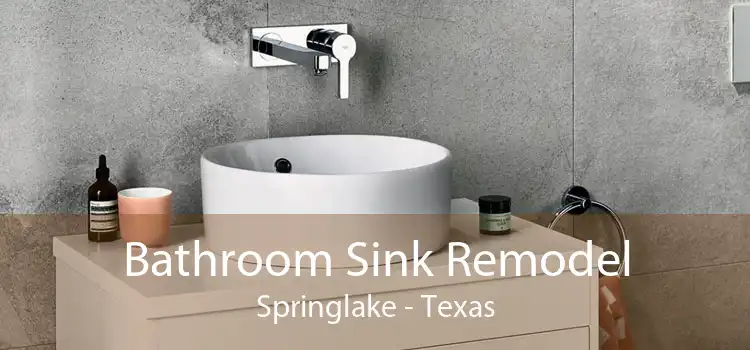 Bathroom Sink Remodel Springlake - Texas