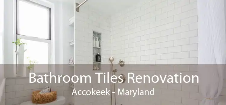 Bathroom Tiles Renovation Accokeek - Maryland