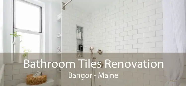Bathroom Tiles Renovation Bangor - Maine