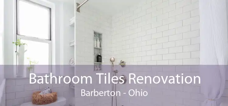 Bathroom Tiles Renovation Barberton - Ohio