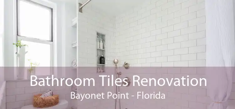 Bathroom Tiles Renovation Bayonet Point - Florida