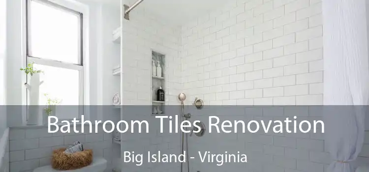 Bathroom Tiles Renovation Big Island - Virginia