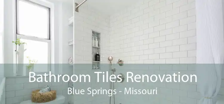 Bathroom Tiles Renovation Blue Springs - Missouri