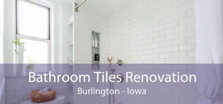 Bathroom Tiles Renovation Burlington - Iowa