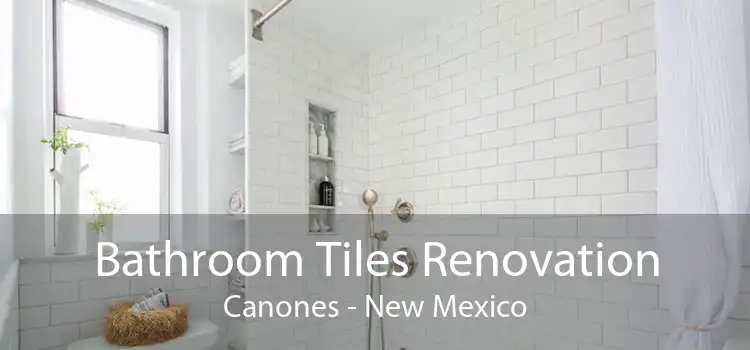 Bathroom Tiles Renovation Canones - New Mexico