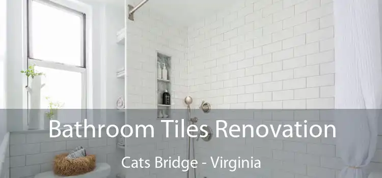 Bathroom Tiles Renovation Cats Bridge - Virginia