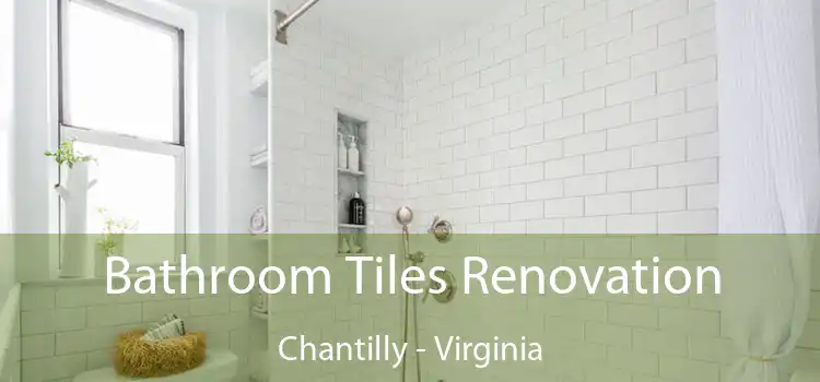 Bathroom Tiles Renovation Chantilly - Virginia