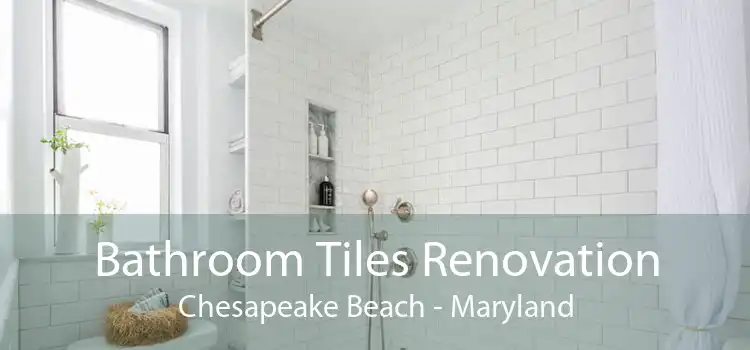 Bathroom Tiles Renovation Chesapeake Beach - Maryland