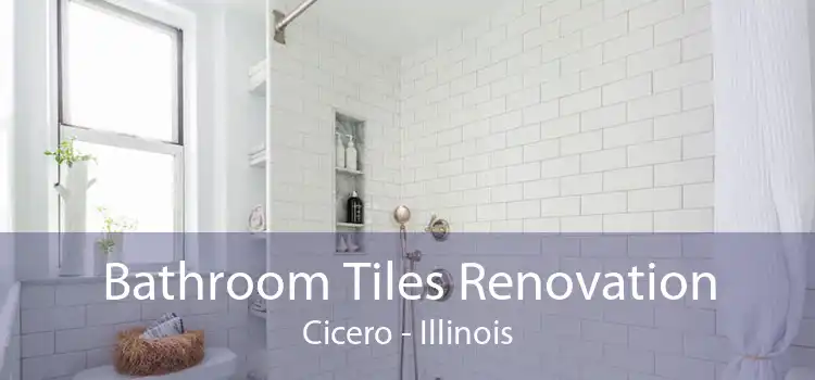 Bathroom Tiles Renovation Cicero - Illinois