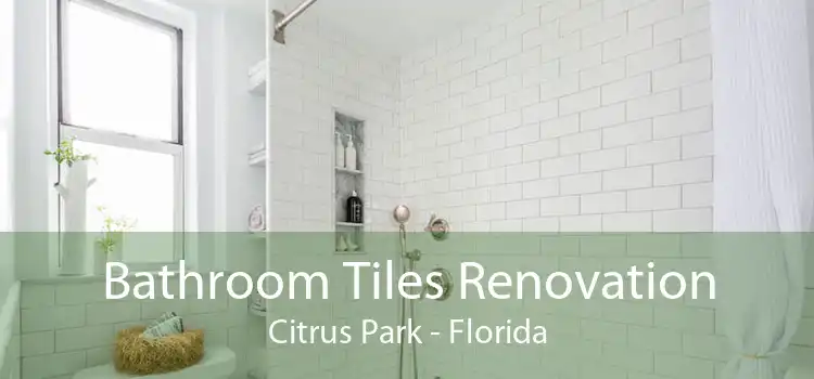 Bathroom Tiles Renovation Citrus Park - Florida