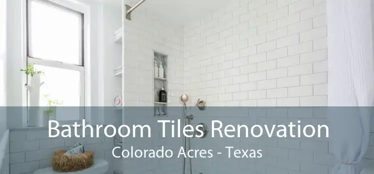 Bathroom Tiles Renovation Colorado Acres - Texas