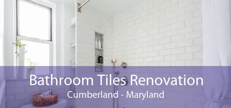 Bathroom Tiles Renovation Cumberland - Maryland