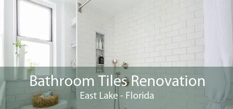 Bathroom Tiles Renovation East Lake - Florida