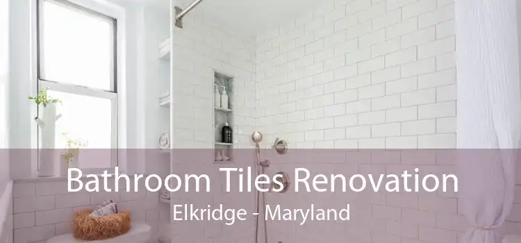 Bathroom Tiles Renovation Elkridge - Maryland