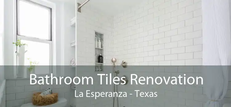 Bathroom Tiles Renovation La Esperanza - Texas