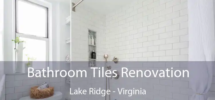 Bathroom Tiles Renovation Lake Ridge - Virginia