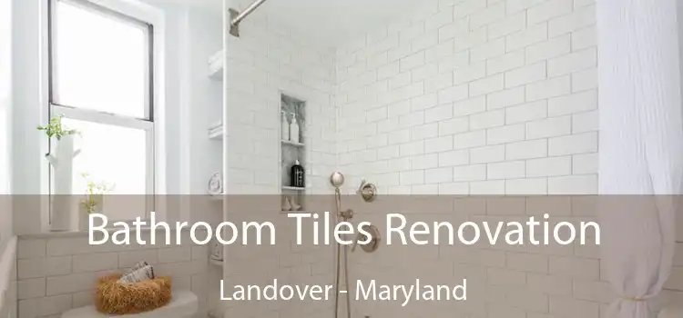 Bathroom Tiles Renovation Landover - Maryland