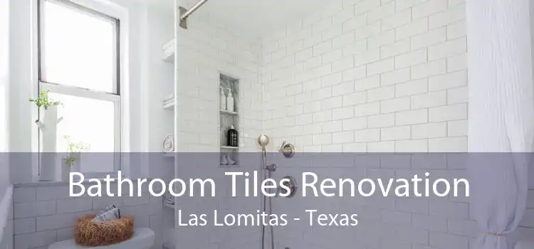 Bathroom Tiles Renovation Las Lomitas - Texas