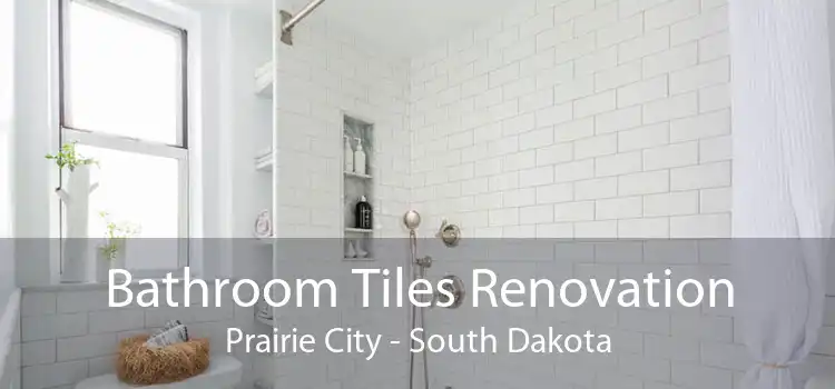 Bathroom Tiles Renovation Prairie City - South Dakota