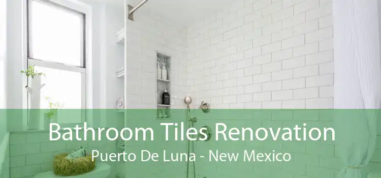 Bathroom Tiles Renovation Puerto De Luna - New Mexico