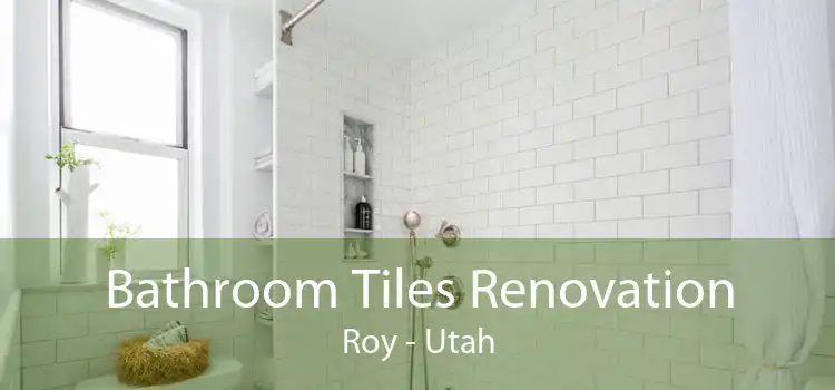 Bathroom Tiles Renovation Roy - Utah