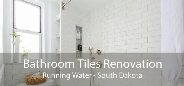 Bathroom Tiles Renovation Running Water - South Dakota