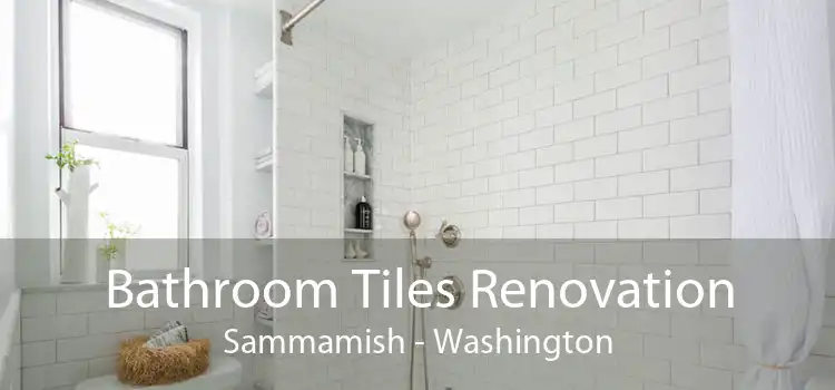 Bathroom Tiles Renovation Sammamish - Washington