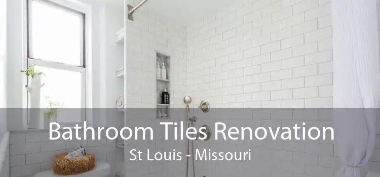 Bathroom Tiles Renovation St Louis - Missouri