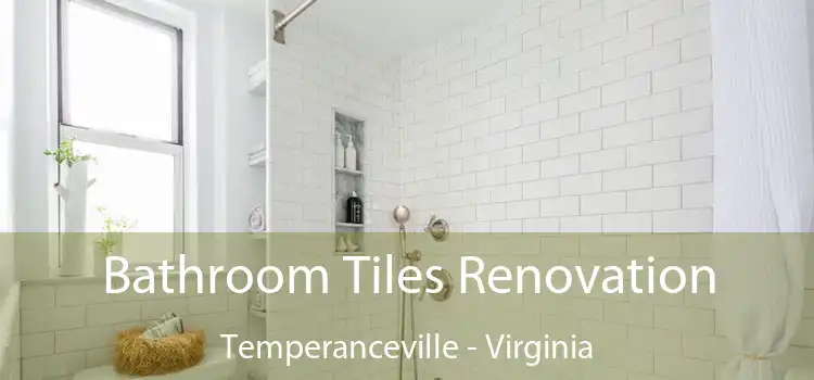 Bathroom Tiles Renovation Temperanceville - Virginia