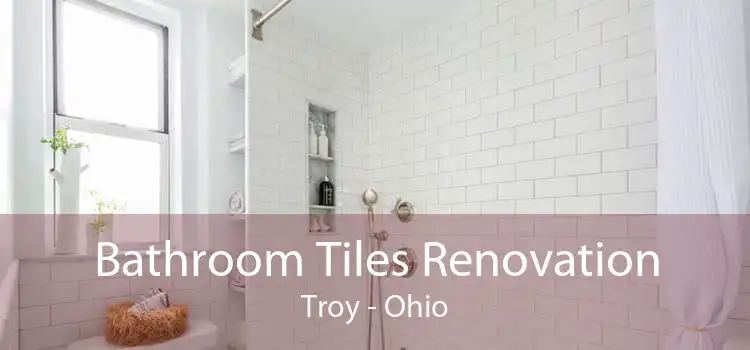 Bathroom Tiles Renovation Troy - Ohio