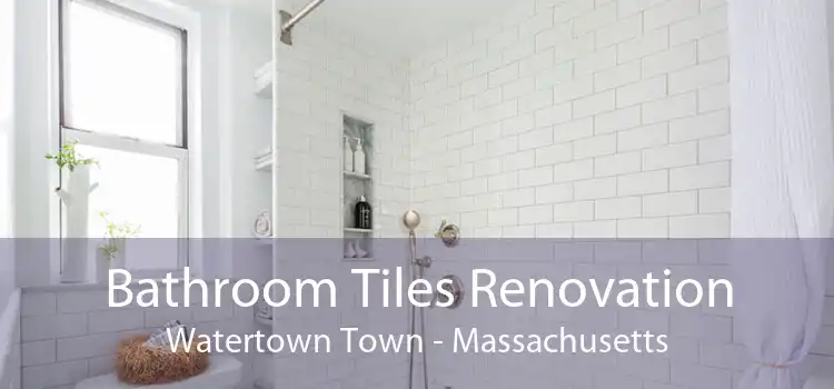 Bathroom Tiles Renovation Watertown Town - Massachusetts