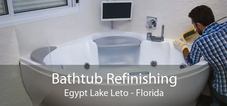 Bathtub Refinishing Egypt Lake Leto - Florida