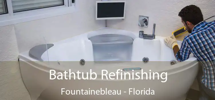 Bathtub Refinishing Fountainebleau - Florida
