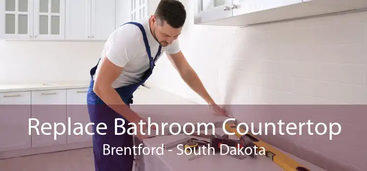 Replace Bathroom Countertop Brentford - South Dakota