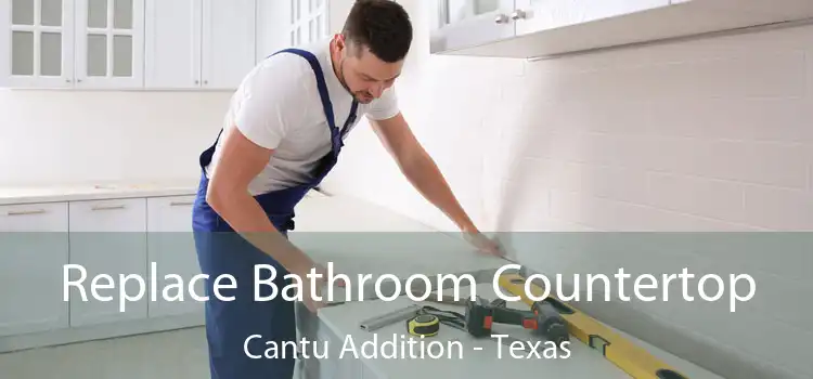 Replace Bathroom Countertop Cantu Addition - Texas