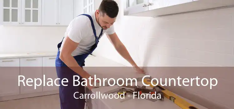 Replace Bathroom Countertop Carrollwood - Florida