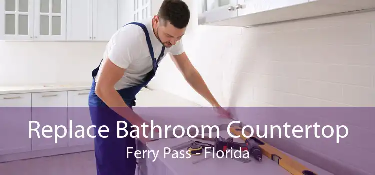 Replace Bathroom Countertop Ferry Pass - Florida