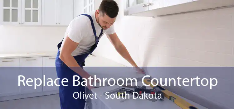 Replace Bathroom Countertop Olivet - South Dakota