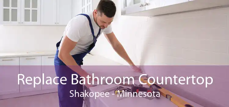 Replace Bathroom Countertop Shakopee - Minnesota