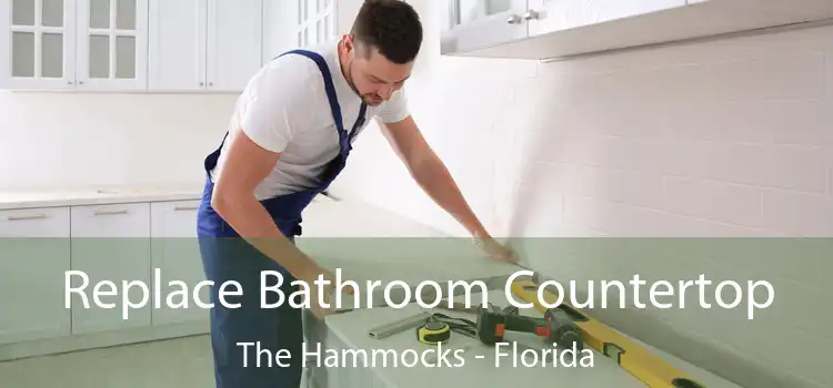 Replace Bathroom Countertop The Hammocks - Florida