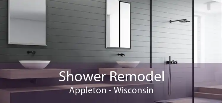 Shower Remodel Appleton - Wisconsin