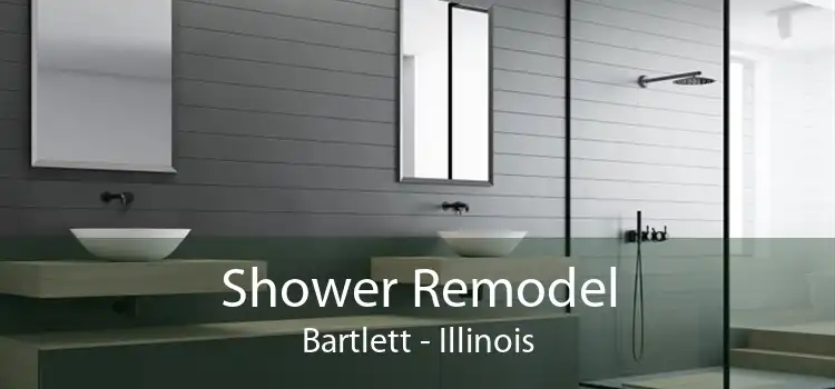 Shower Remodel Bartlett - Illinois