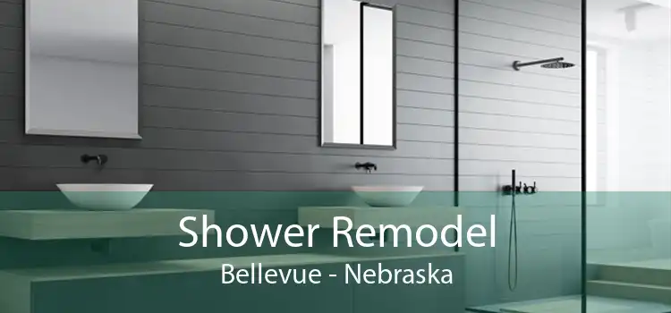 Shower Remodel Bellevue - Nebraska