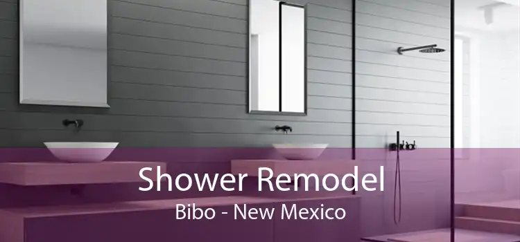 Shower Remodel Bibo - New Mexico