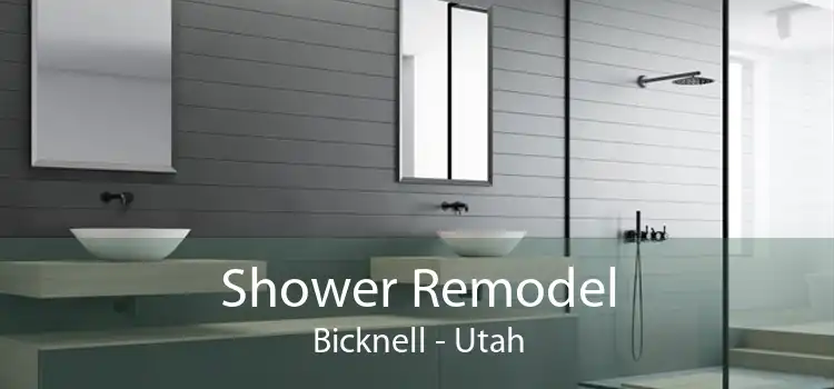 Shower Remodel Bicknell - Utah