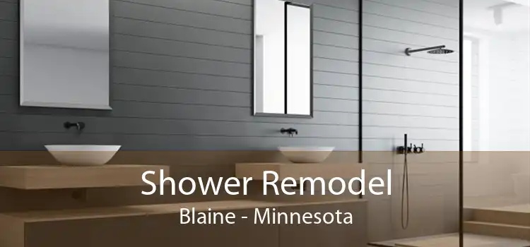 Shower Remodel Blaine - Minnesota